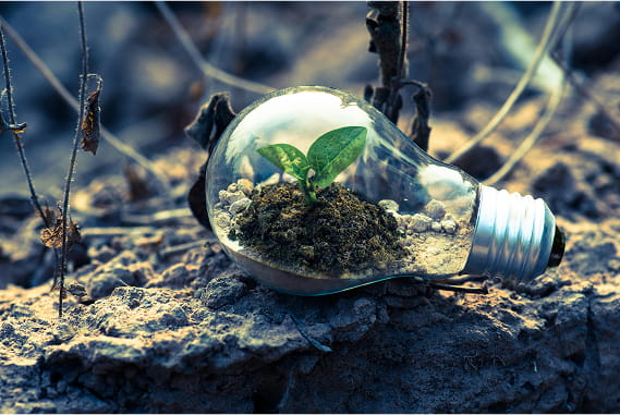 About ESG Institute